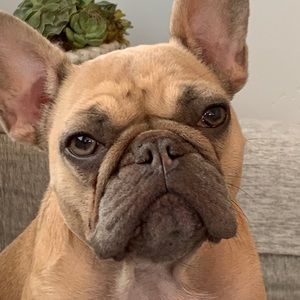 Meet your Posher, Wendy